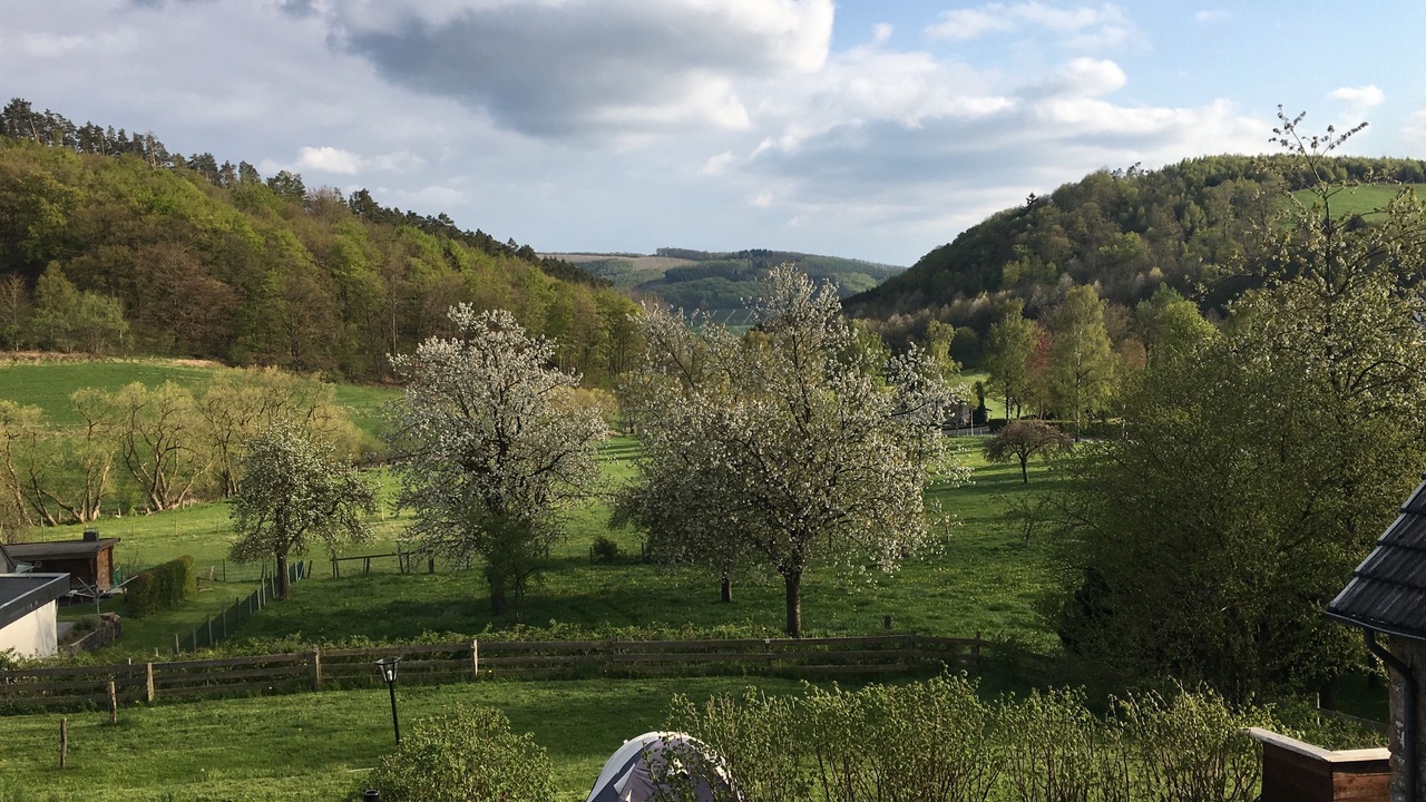 Photo of Others in Sundern