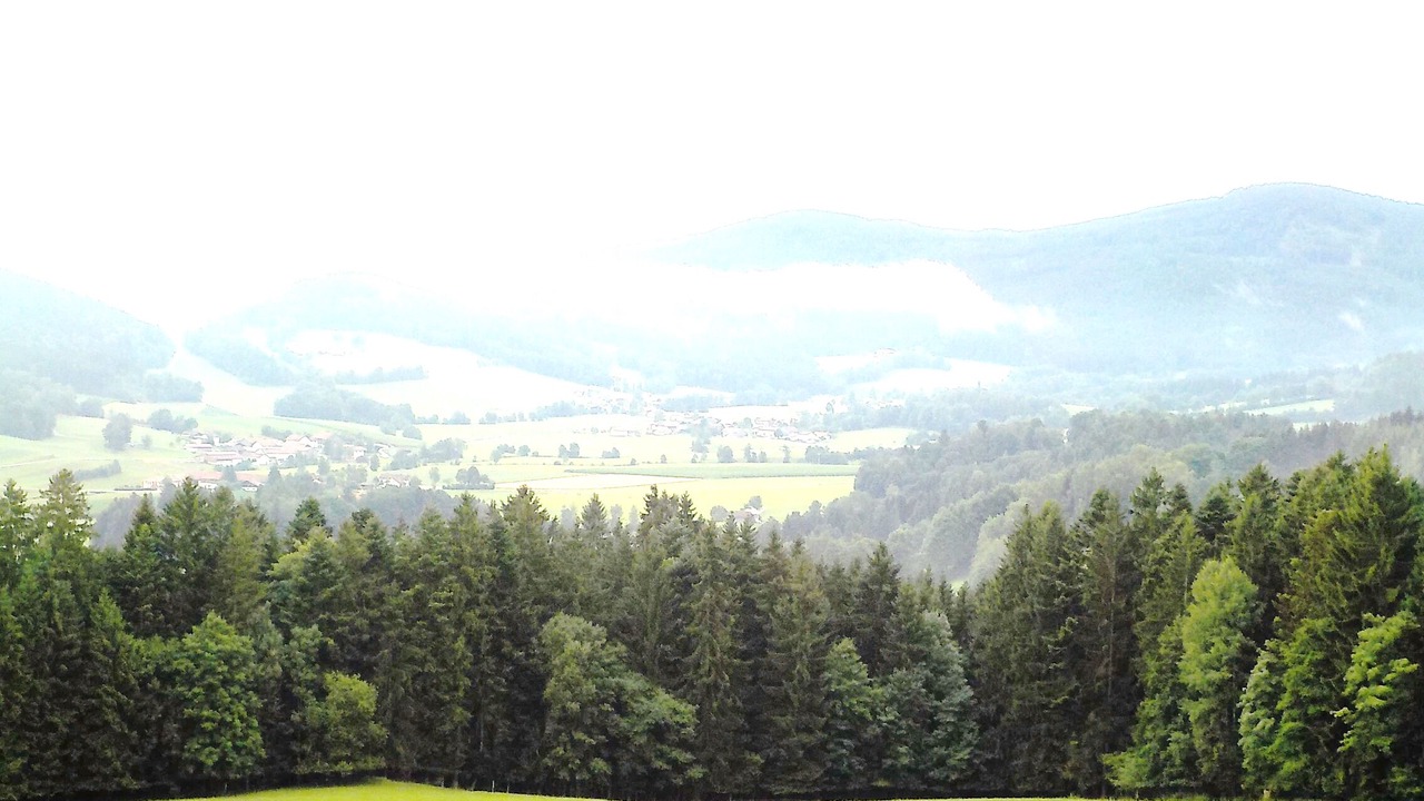 Photo of Outdoor in Kollnburg