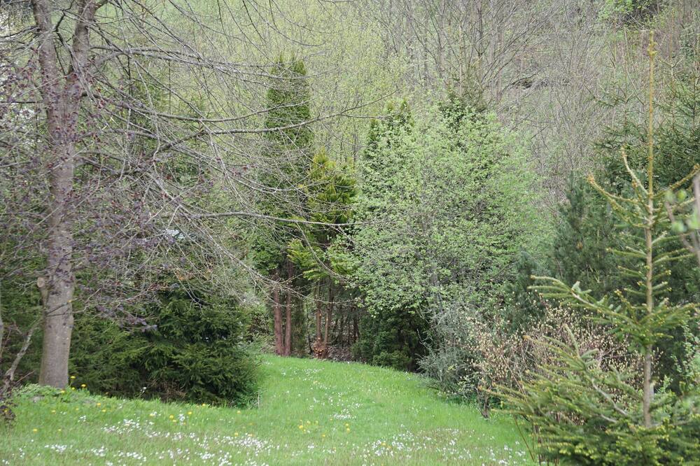 Photo of Outdoor in Wilhelmsthal