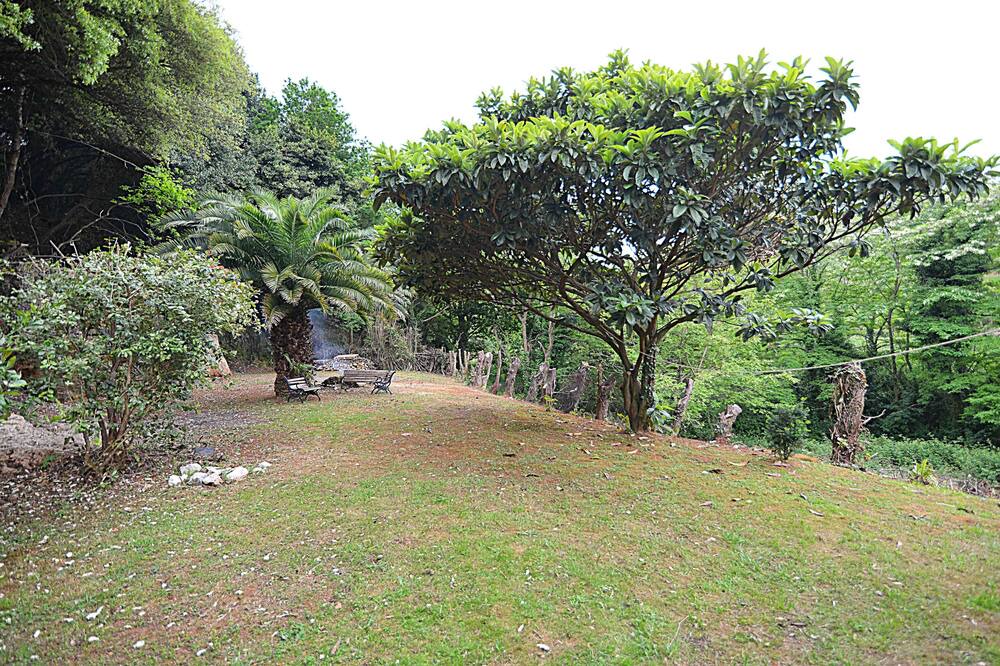Photo of Outdoor in Orena