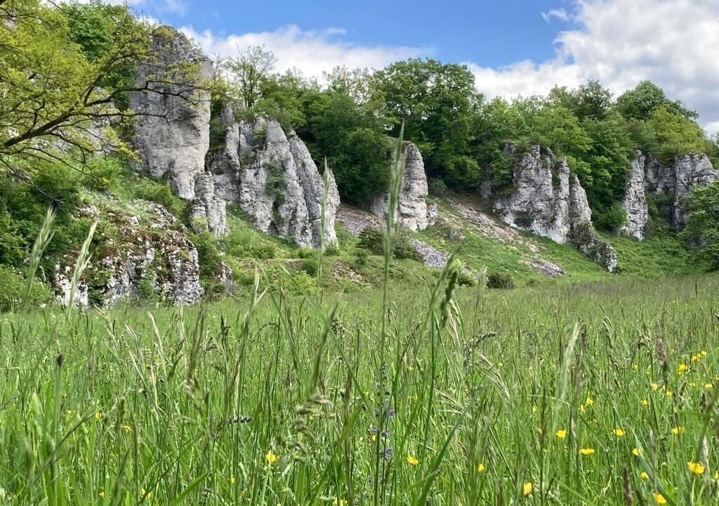 Photo of Others in Solnhofen
