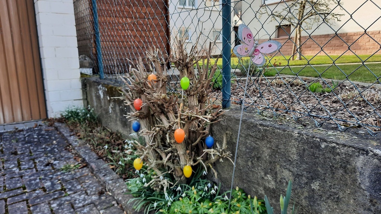 Photo of Outdoor in Langenprozelten