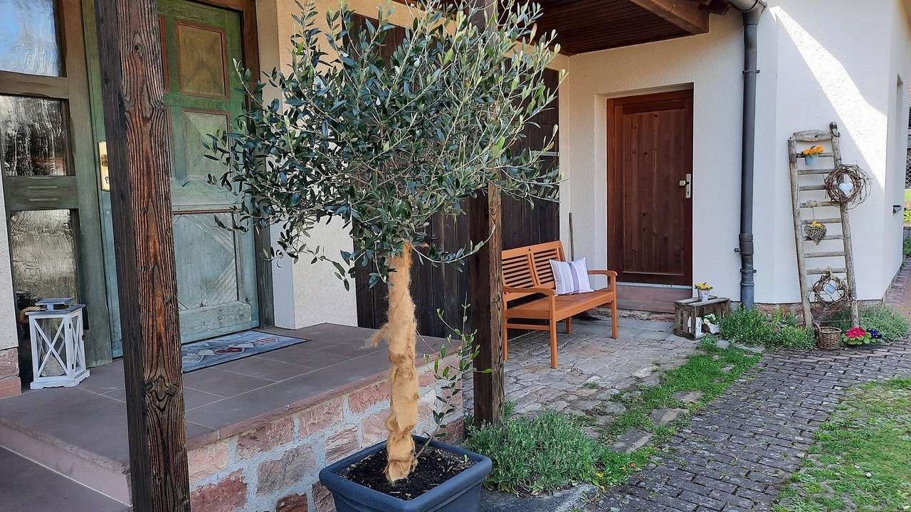 Photo of Patio Balcony in Langenprozelten