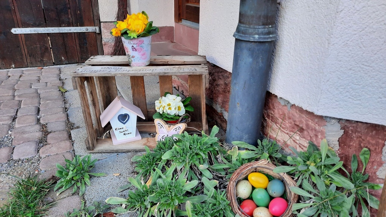 Photo of Outdoor in Langenprozelten