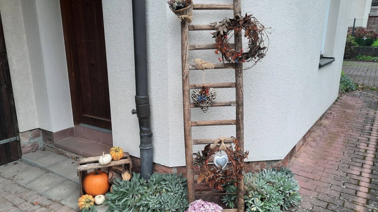 Photo of Outdoor in Langenprozelten