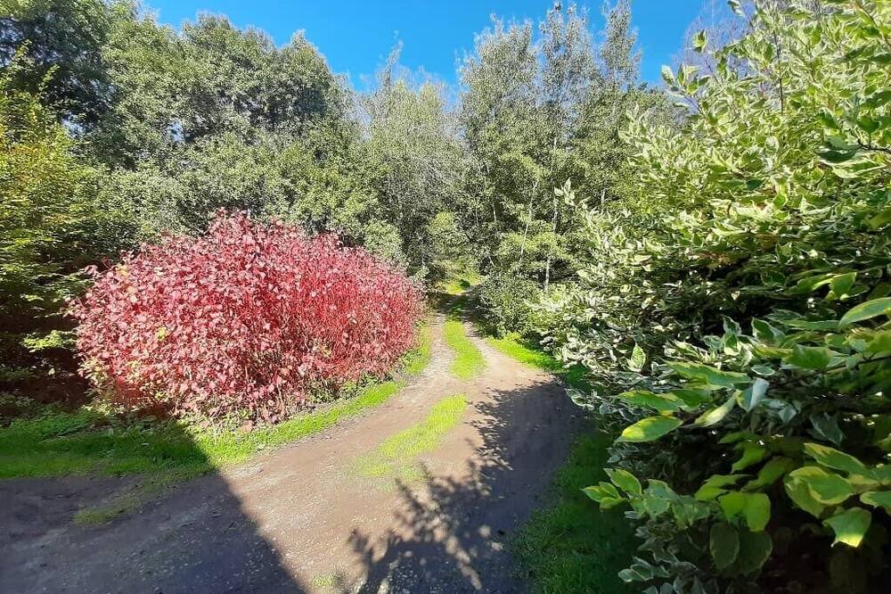 Photo of Outdoor in Witzmannsberg