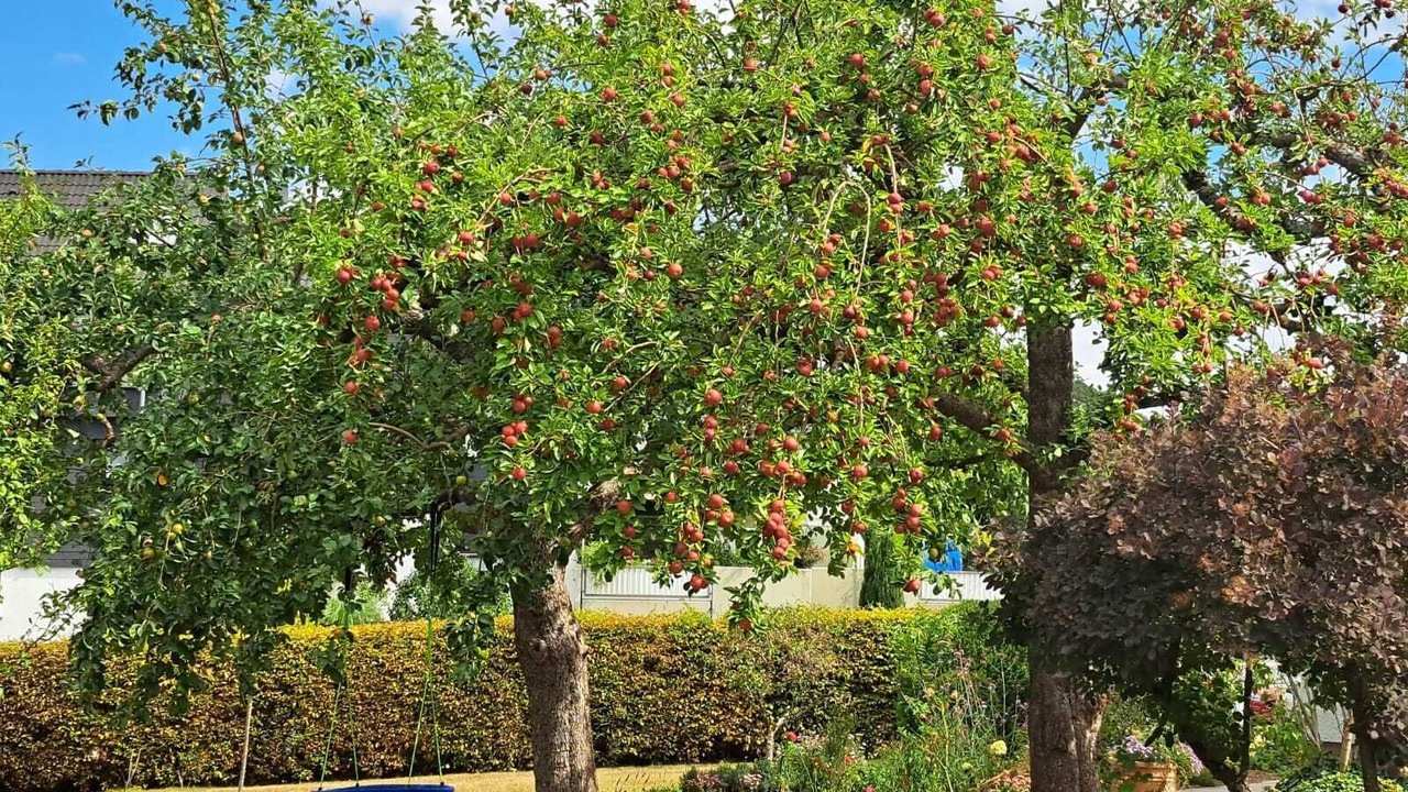 Photo of Outdoor in Arnsberg