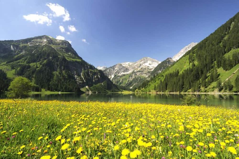 Photo of Outdoor in Graen