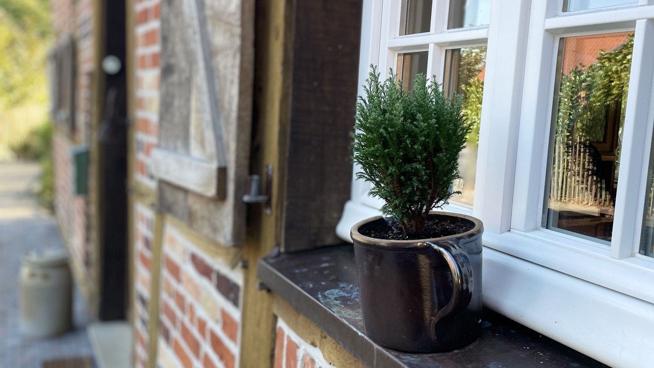 Photo of Outdoor in Warendorf