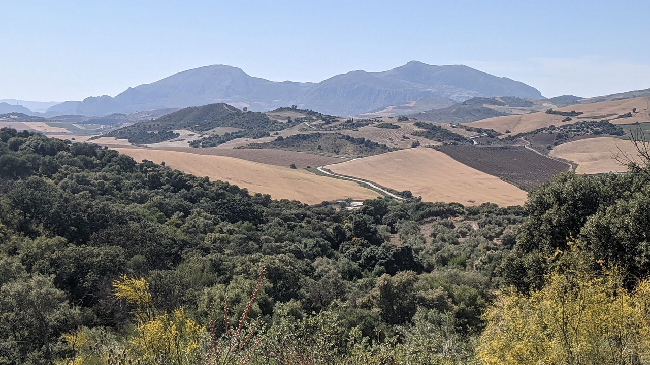 Photo of Outdoor in Almogia