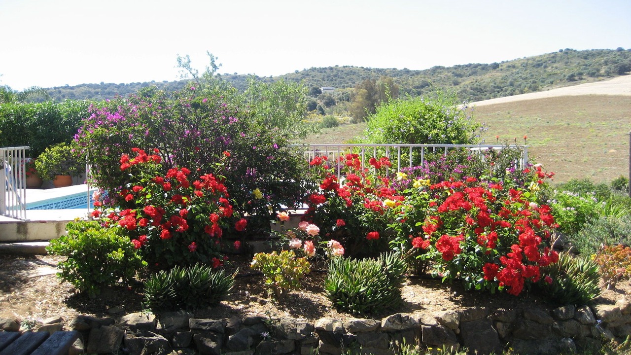 Photo of Outdoor in Almogia