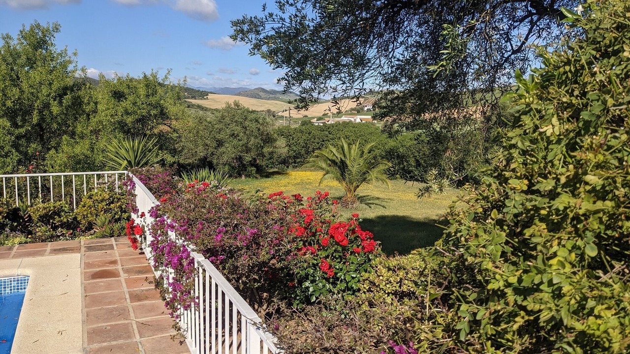 Photo of Outdoor in Almogia