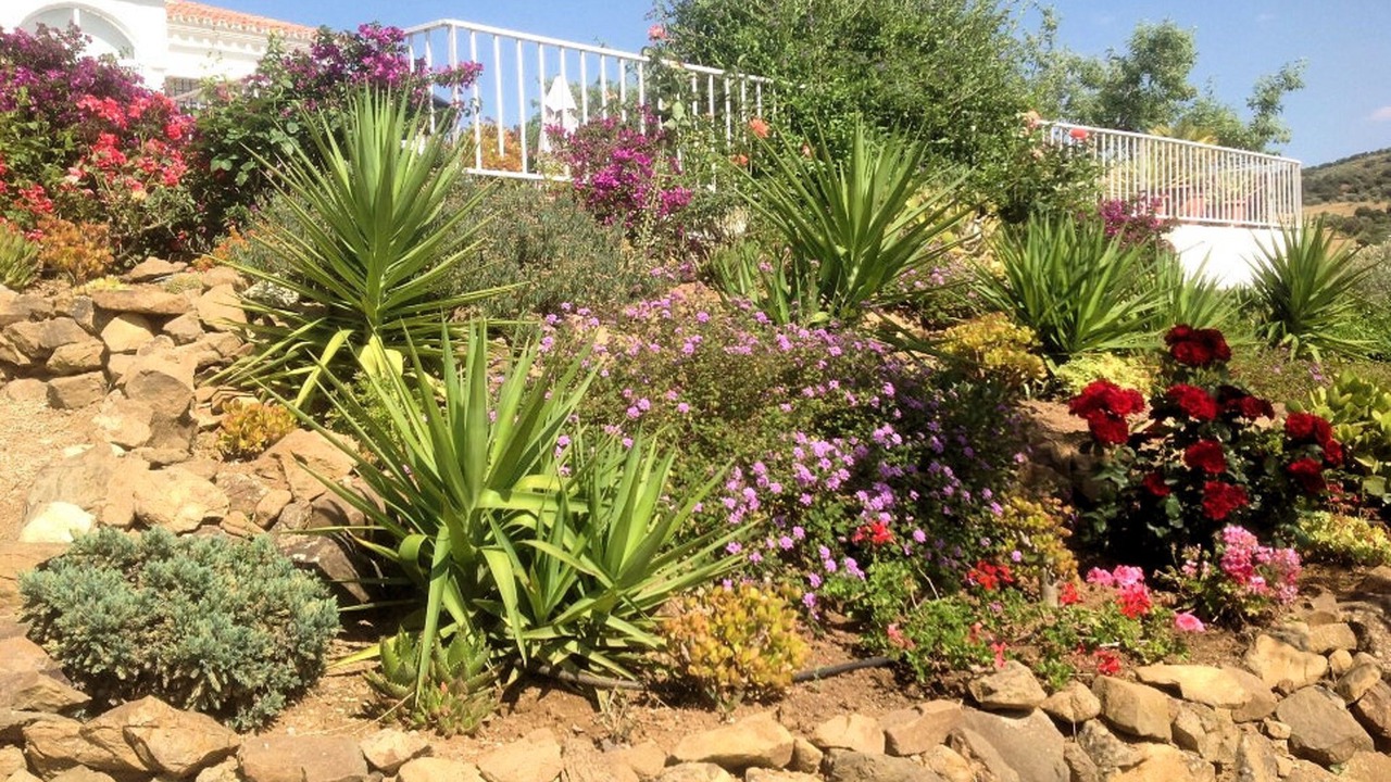 Photo of Outdoor in Almogia