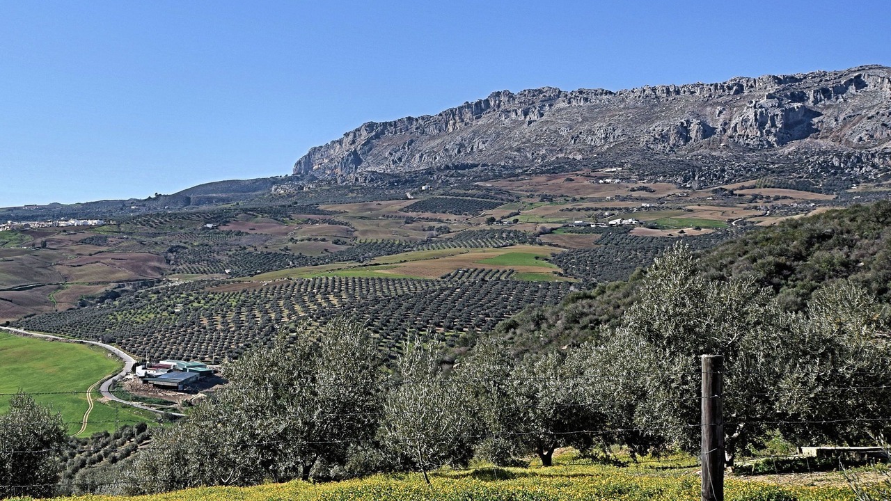 Photo of Outdoor in Almogia