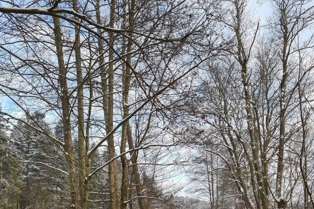Photo of Outdoor in Wilhelmsthal