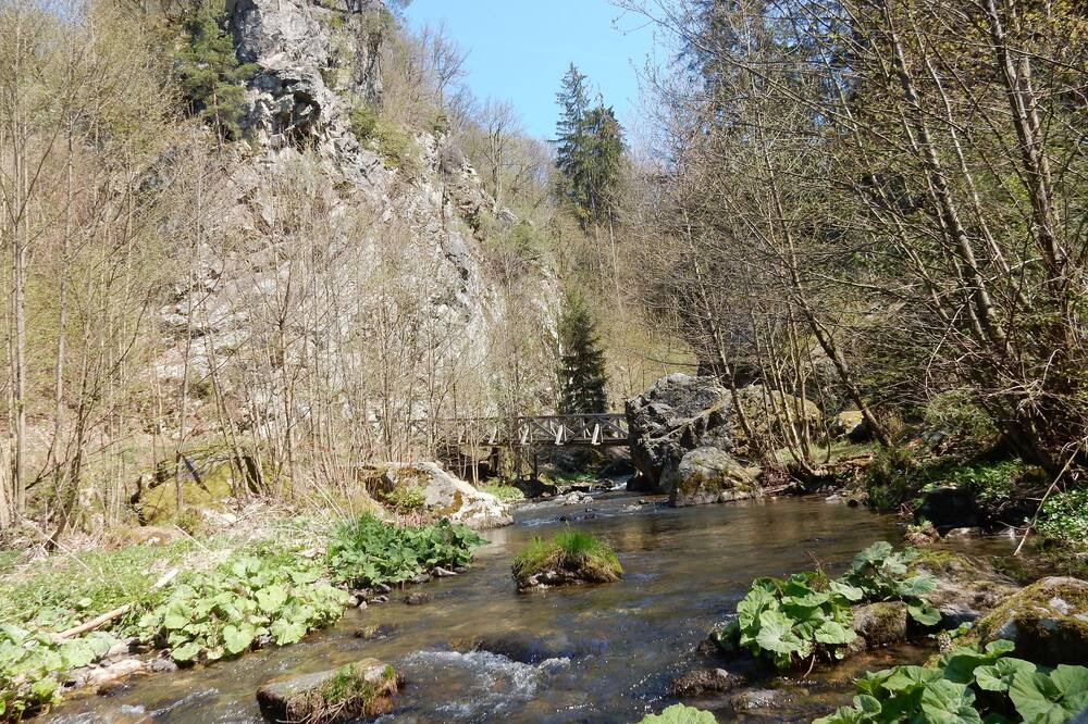 Photo of Outdoor in Wilhelmsthal