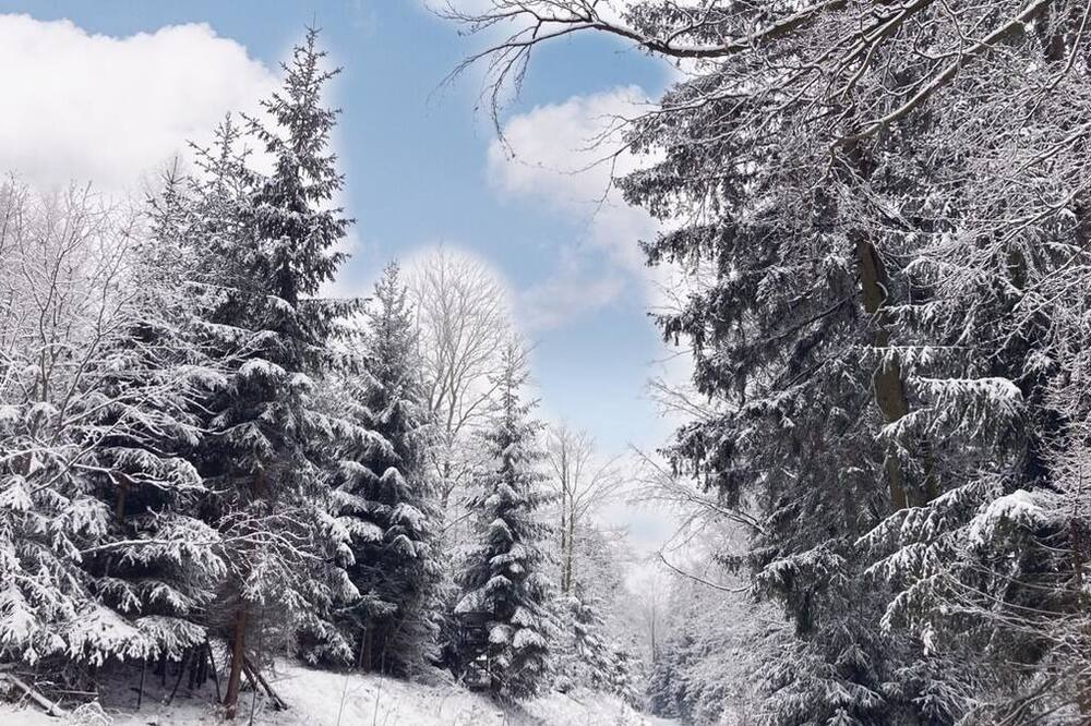 Photo of Others in Wilhelmsthal