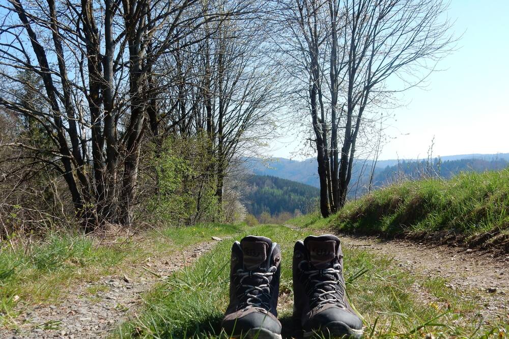 Photo of Outdoor in Wilhelmsthal