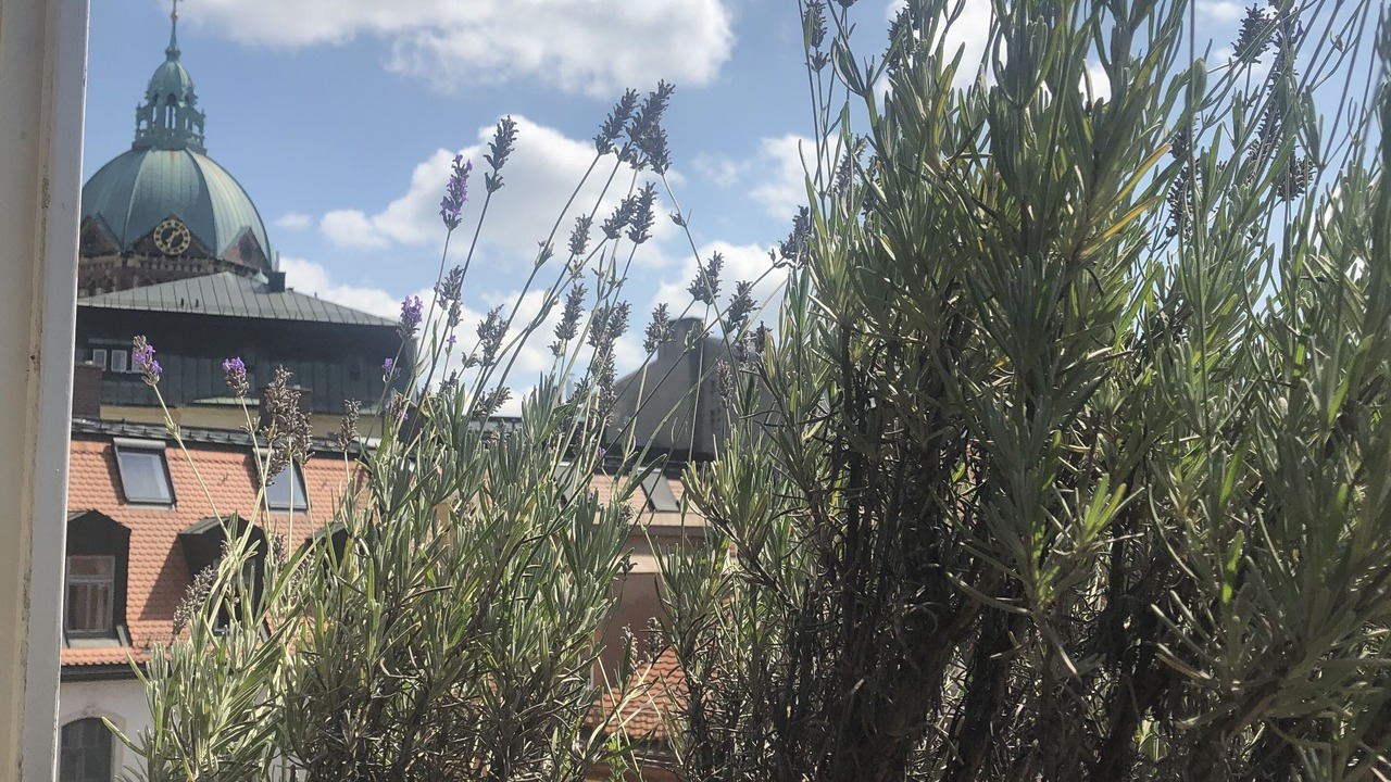 Photo of Outdoor in Lehel