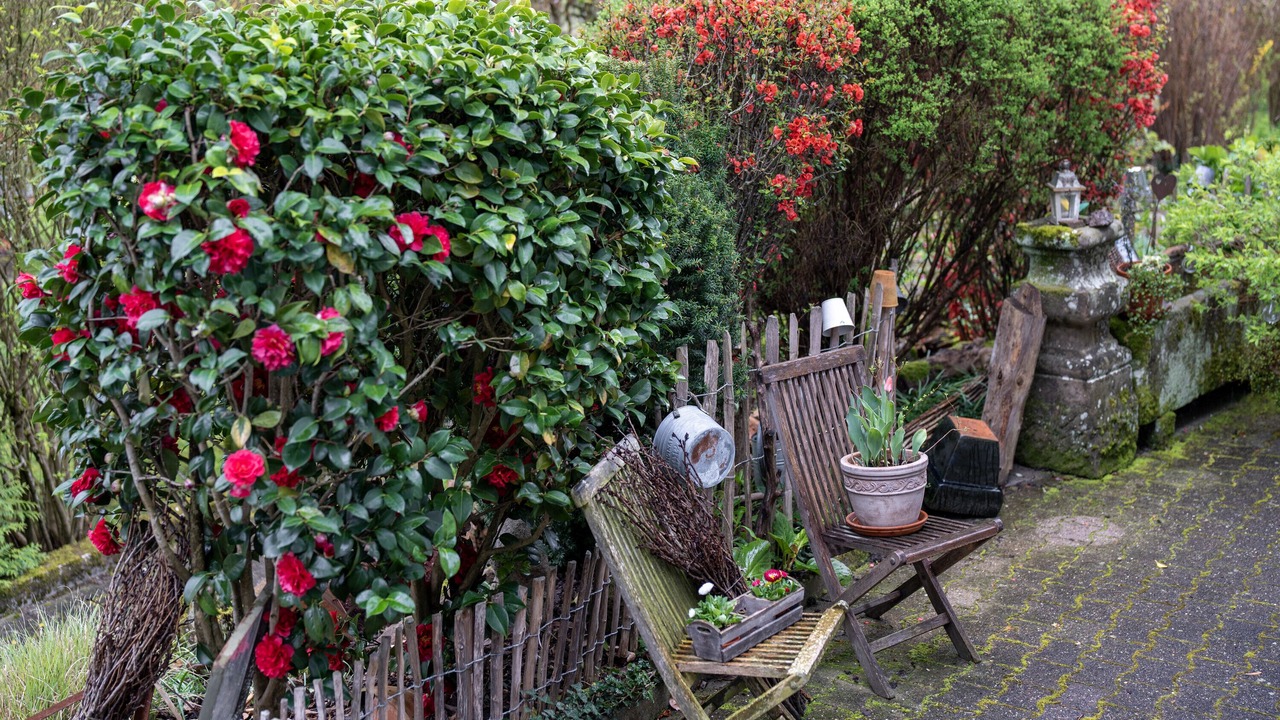 Photo of Outdoor in Schuttertal