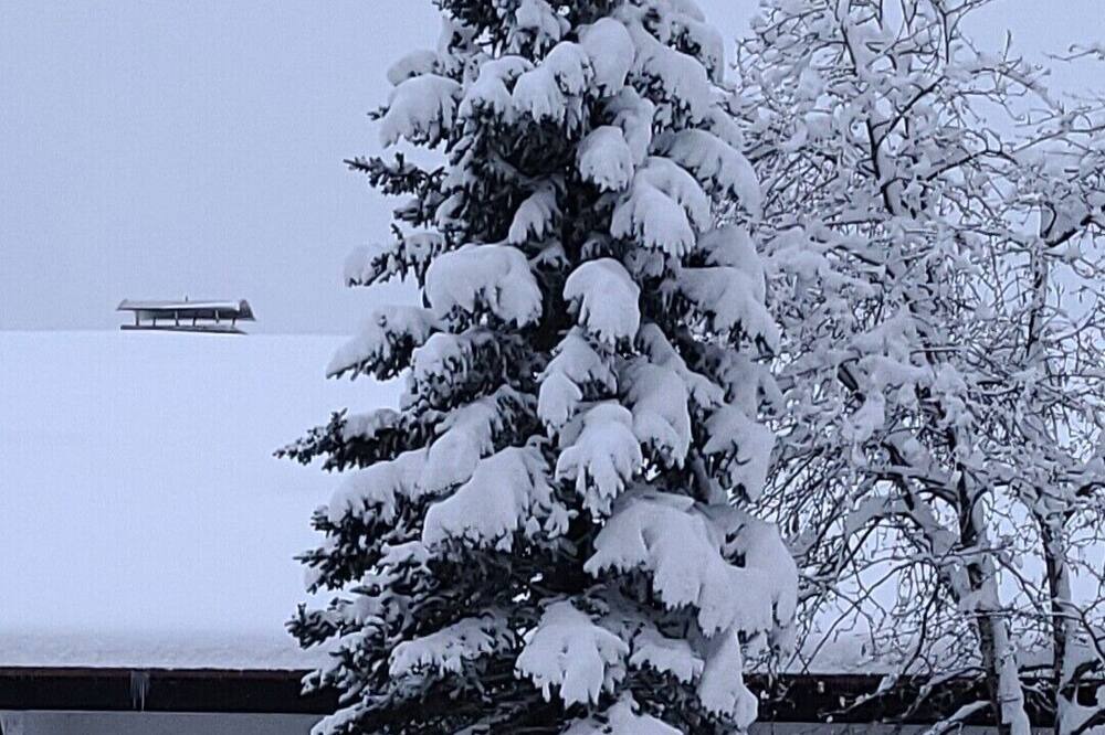 Photo of Outdoor in Seeg