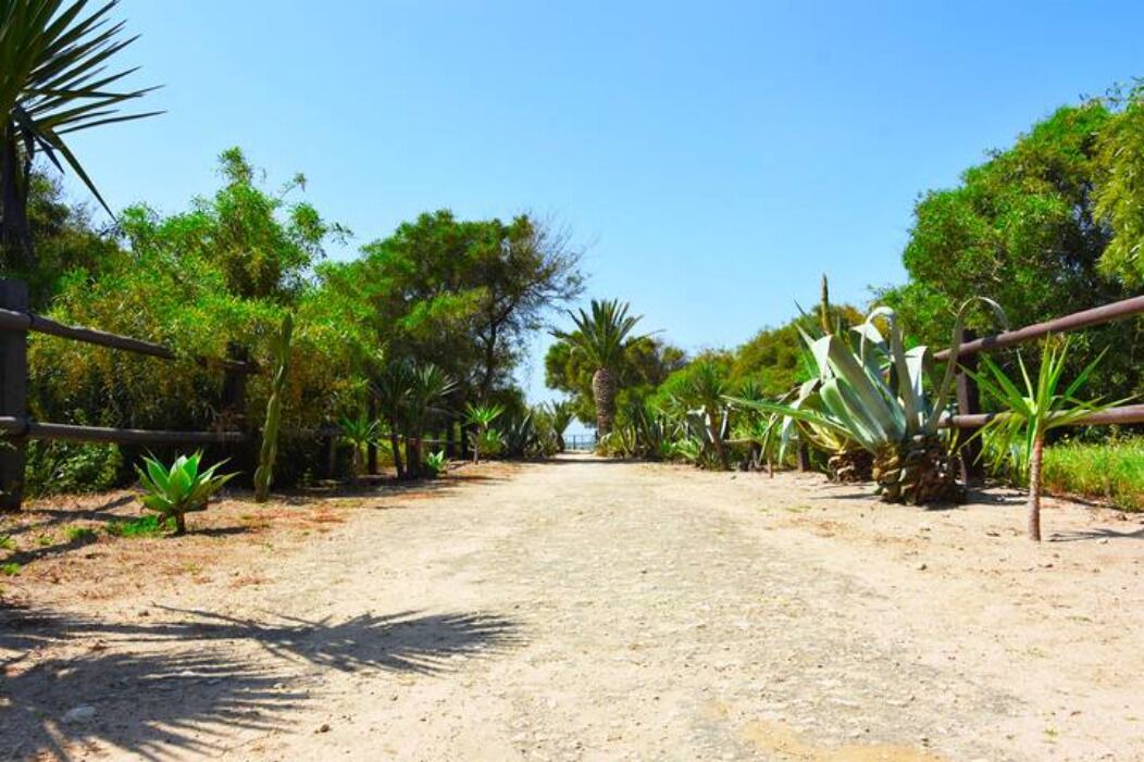Photo of Outdoor in Zahora