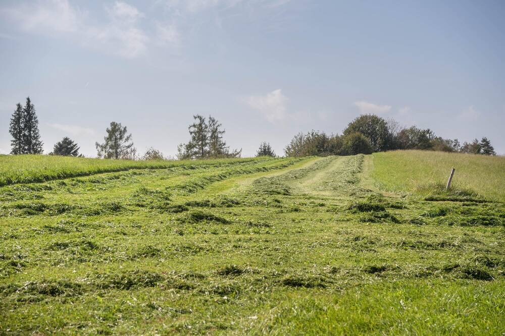 Photo of Outdoor in Berg