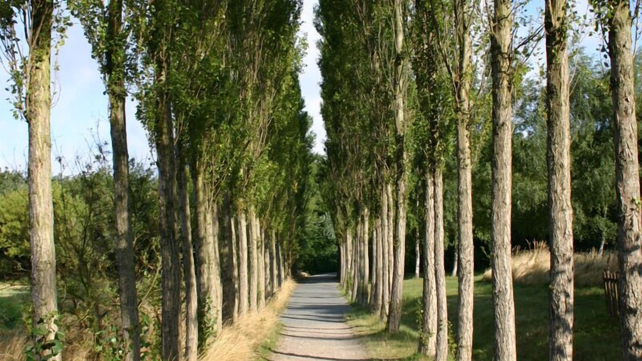 Photo of Outdoor in Diedrichshagen
