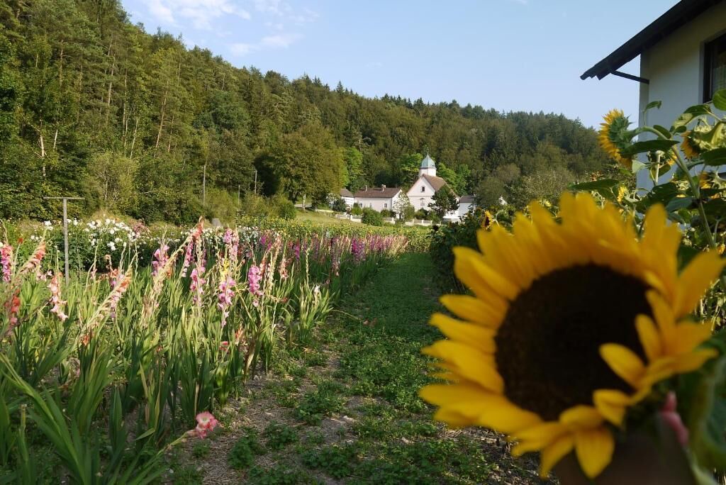 Photo of Outdoor in Kipfenberg