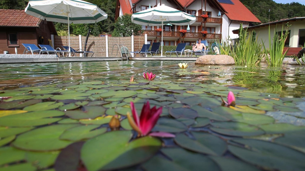 Photo of Outdoor in Kipfenberg