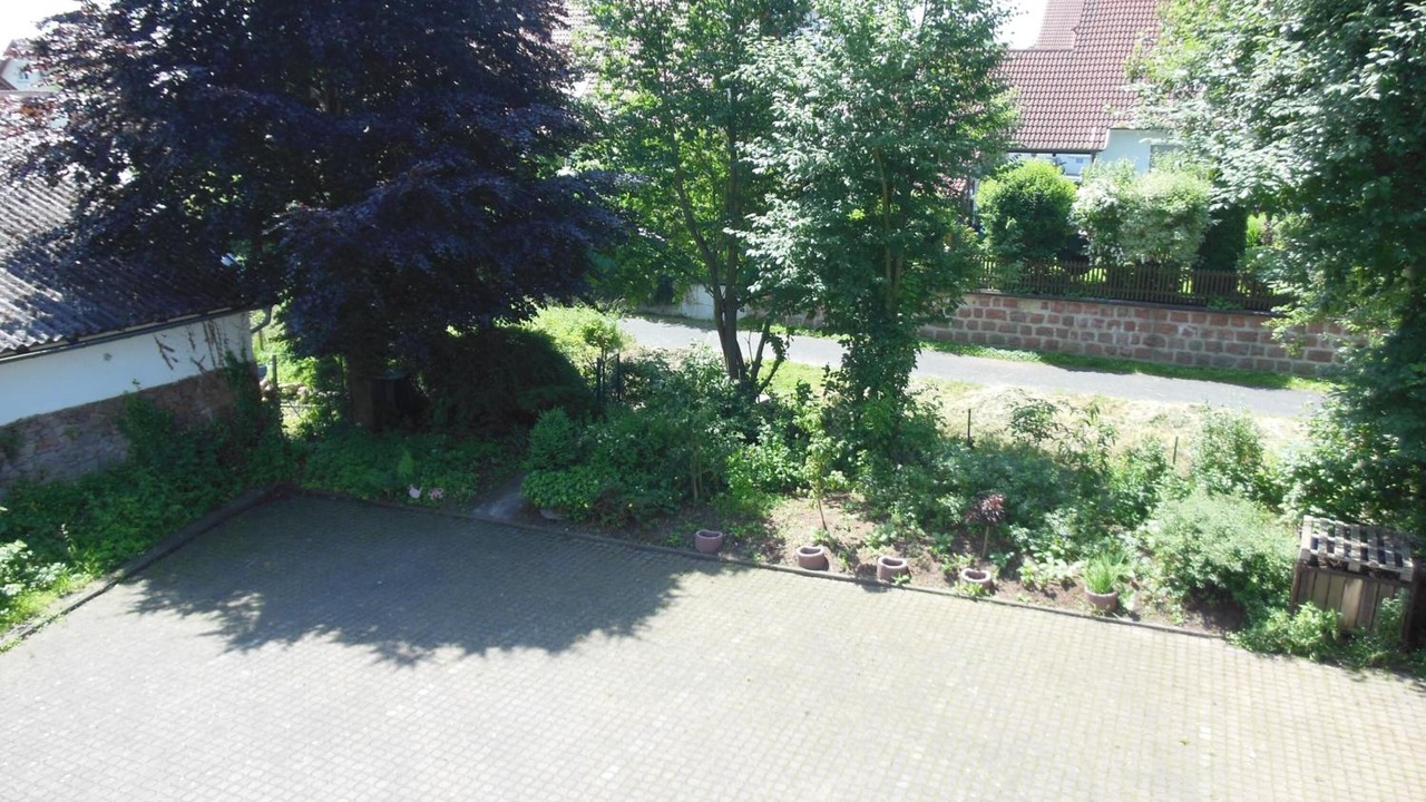 Photo of Outdoor in Rottenberg