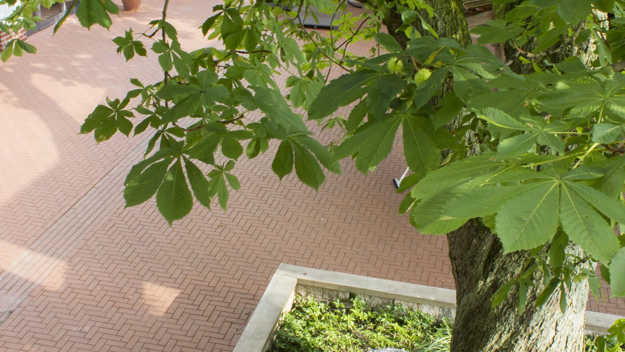 Photo of Outdoor in Gescher
