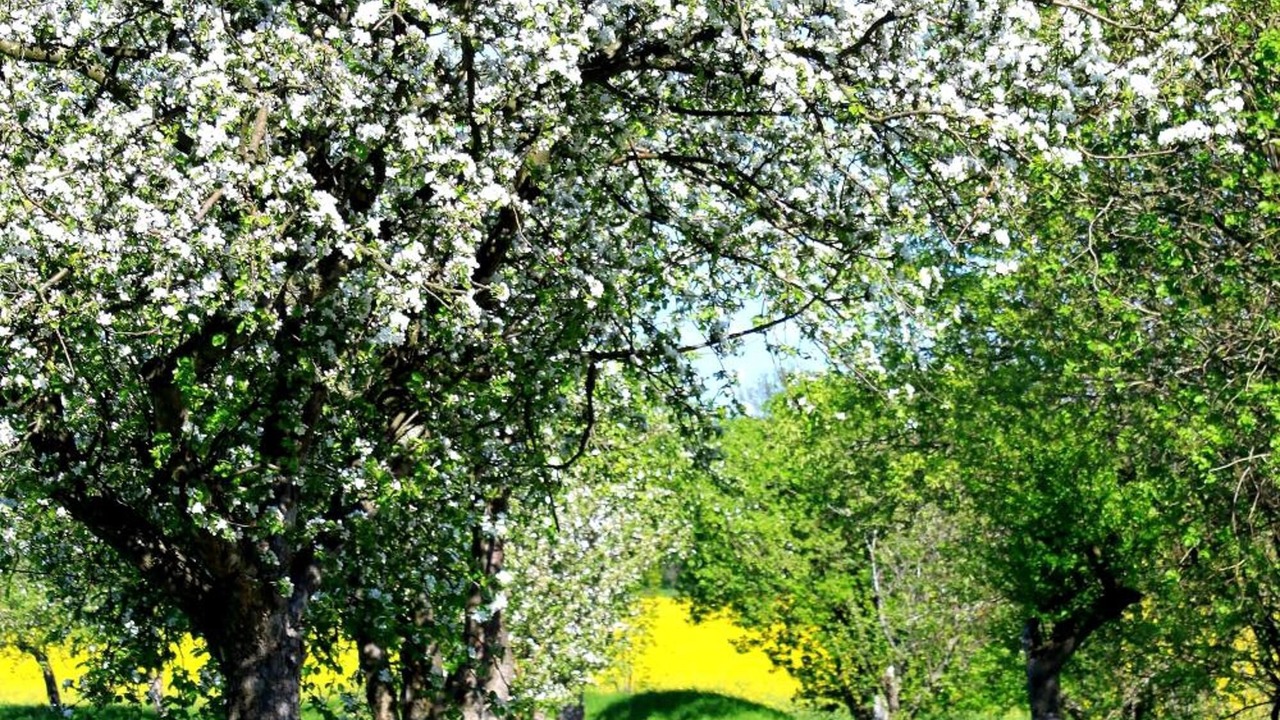 Photo of Outdoor in Dippoldiswalde