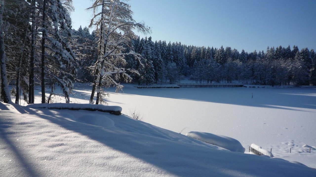 Photo of Others in Lindenberg im Allgaeu