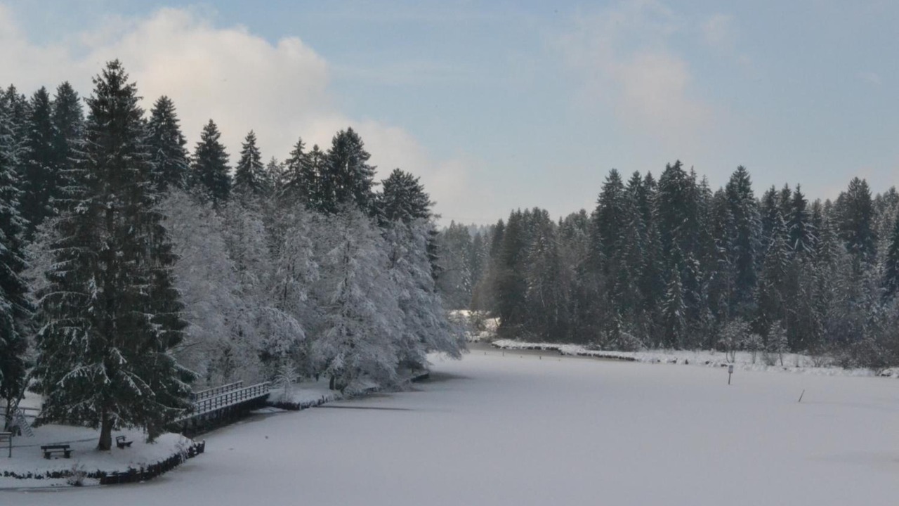 Photo of Others in Lindenberg im Allgaeu
