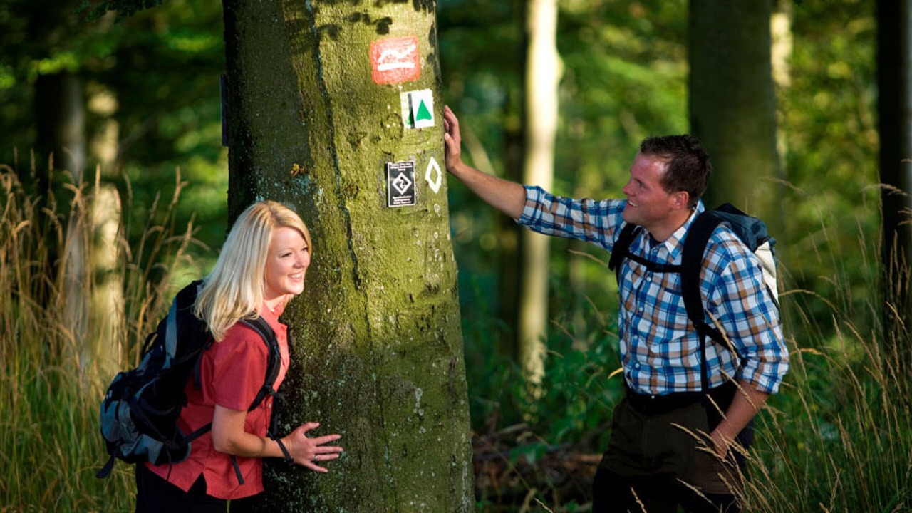 Photo of Outdoor in Brilon-Wald