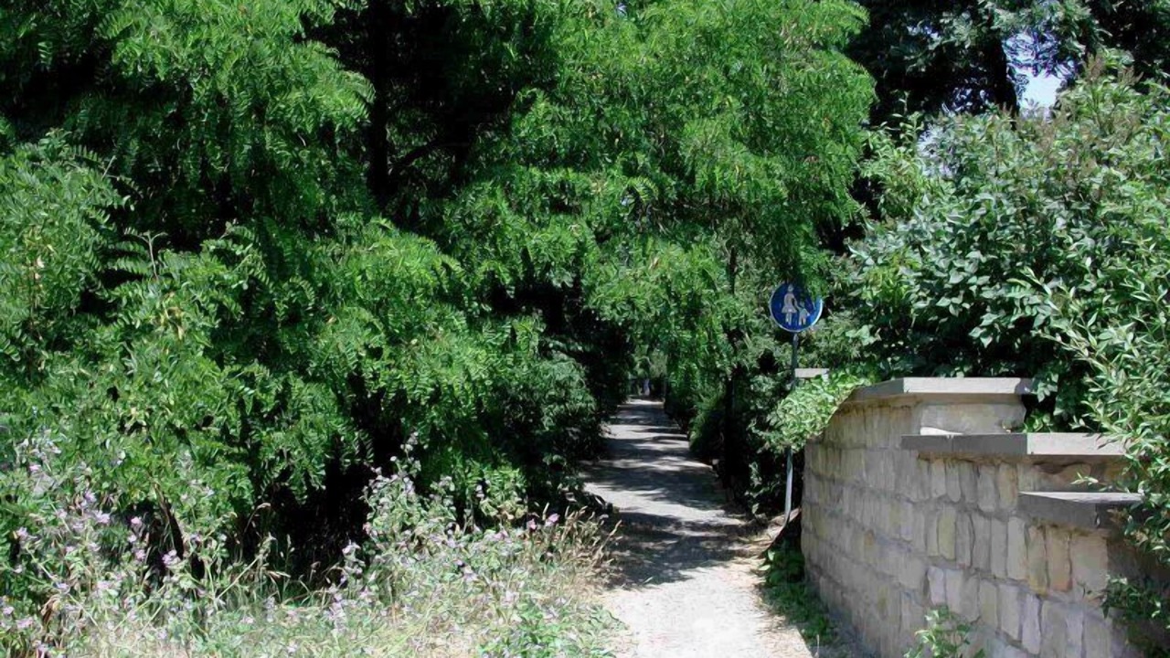 Photo of Outdoor in Strehlen