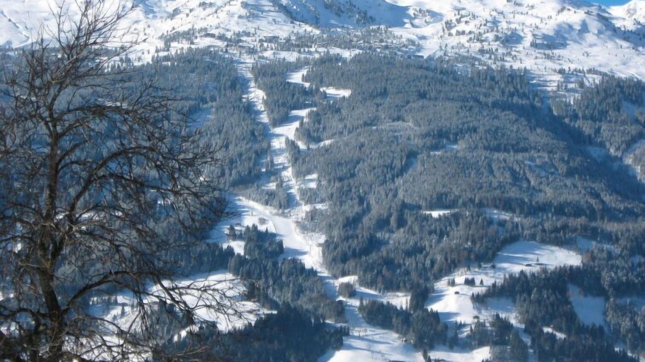Photo of Outdoor in Gattererberg