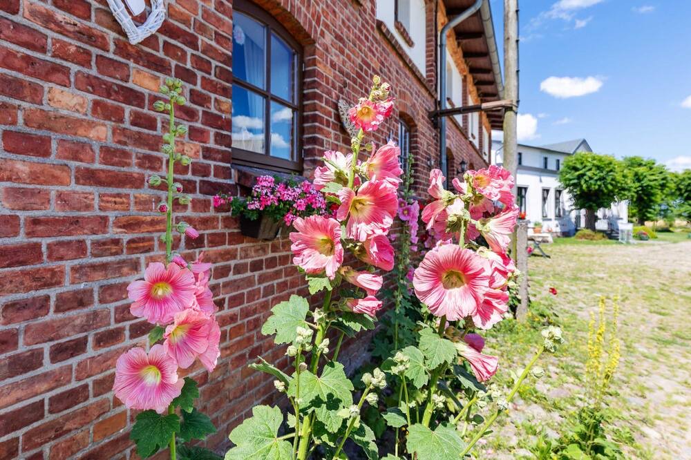 Photo of Outdoor in Steffenshagen