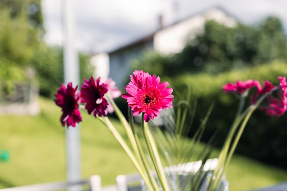 Photo of Outdoor in Owingen