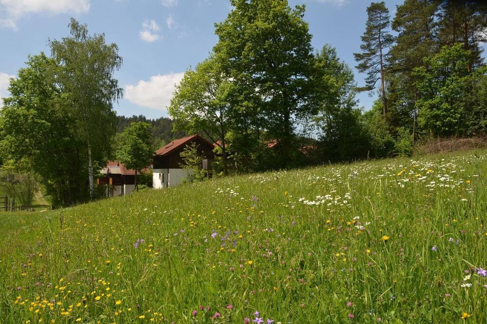 Photo of Outdoor in Grafenwiesen
