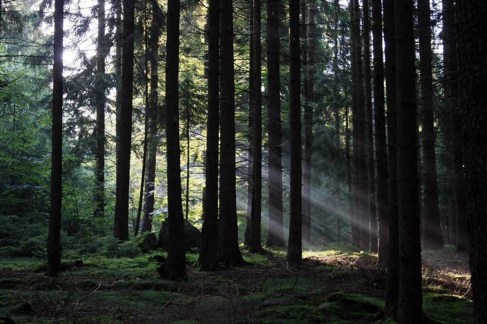 Photo of Outdoor in Kirchdorf im Wald