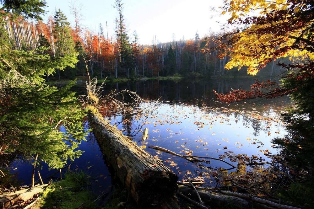 Photo of Outdoor in Kirchdorf im Wald