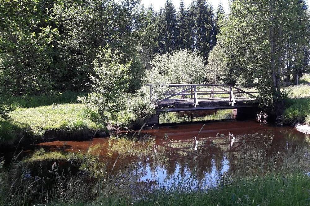 Photo of Outdoor in Kirchdorf im Wald