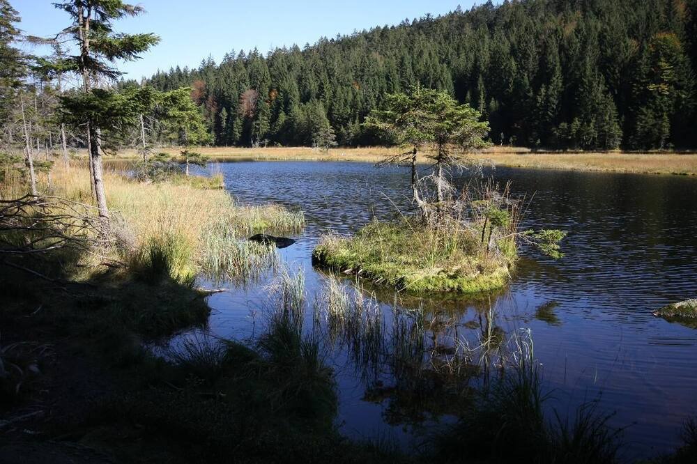 Photo of Outdoor in Kirchdorf im Wald