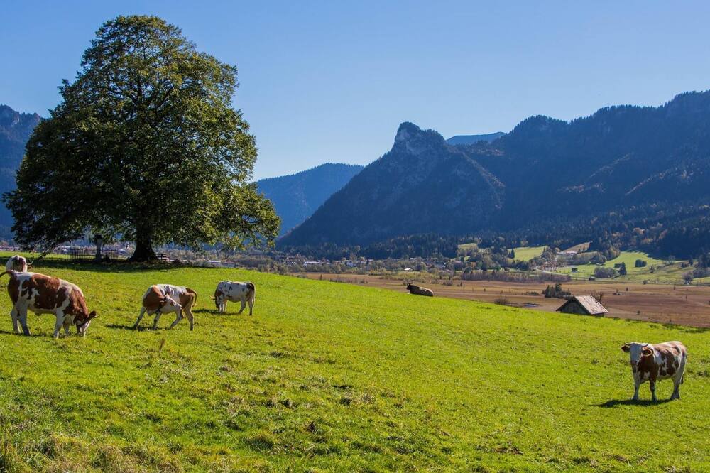 Photo of Outdoor in Bad Kohlgrub