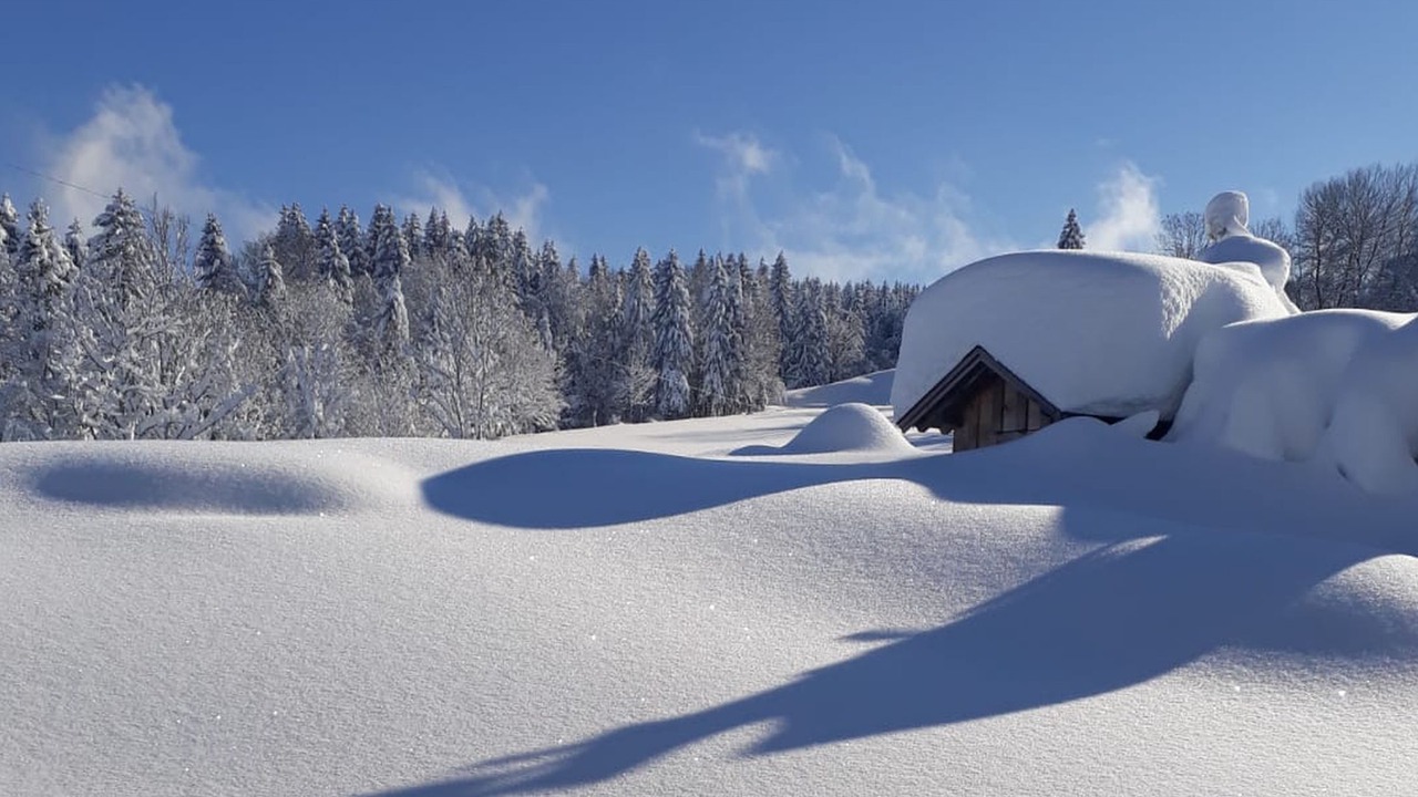 Photo of Outdoor in Oberreute