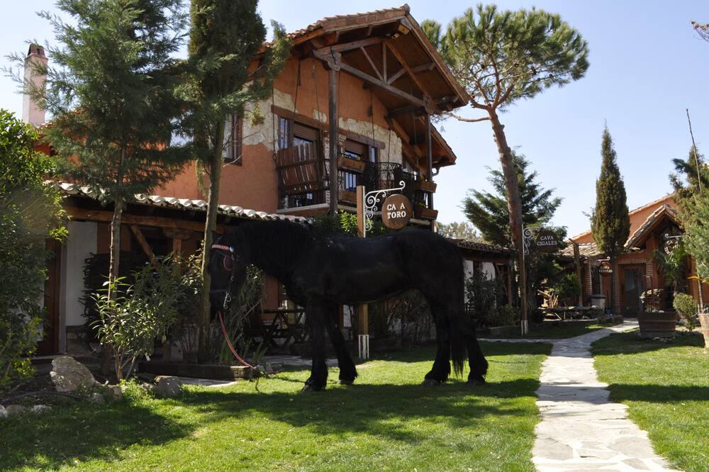 Photo of Outdoor in Olmedo