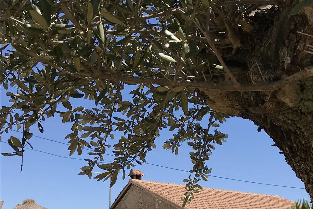 Photo of Outdoor in Villanueva del Duque