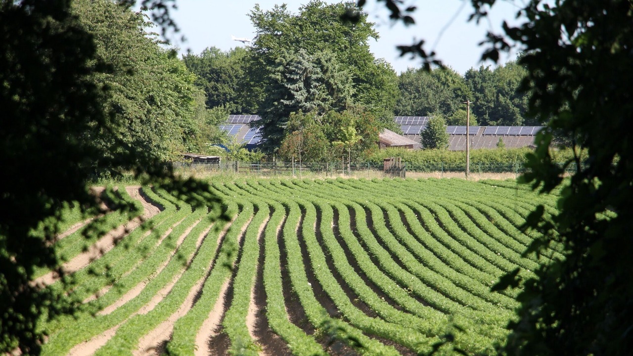 Photo of Outdoor in Bockholt